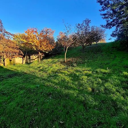 Casa De Cabecinho- Albufeira Do Azibo *